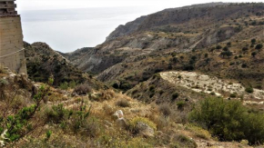 213 Pissouri Vines